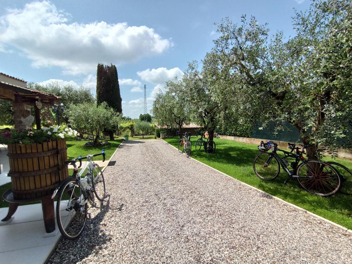 Le Zampolle B & B Colà エクステリア 写真