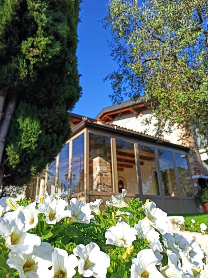 Le Zampolle B & B Colà エクステリア 写真